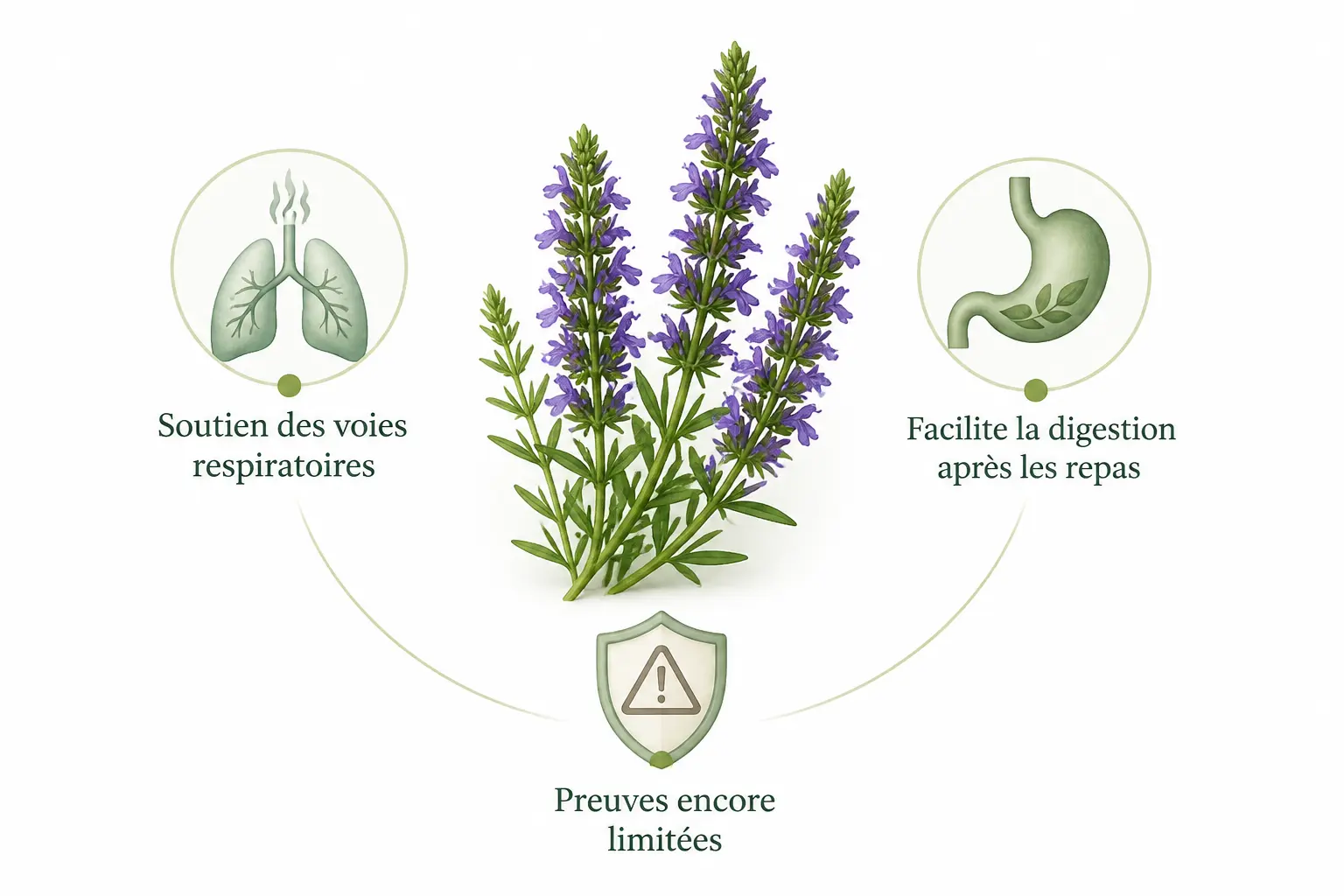 Quels effets attendre, et sur quoi il vaut mieux rester mesuré