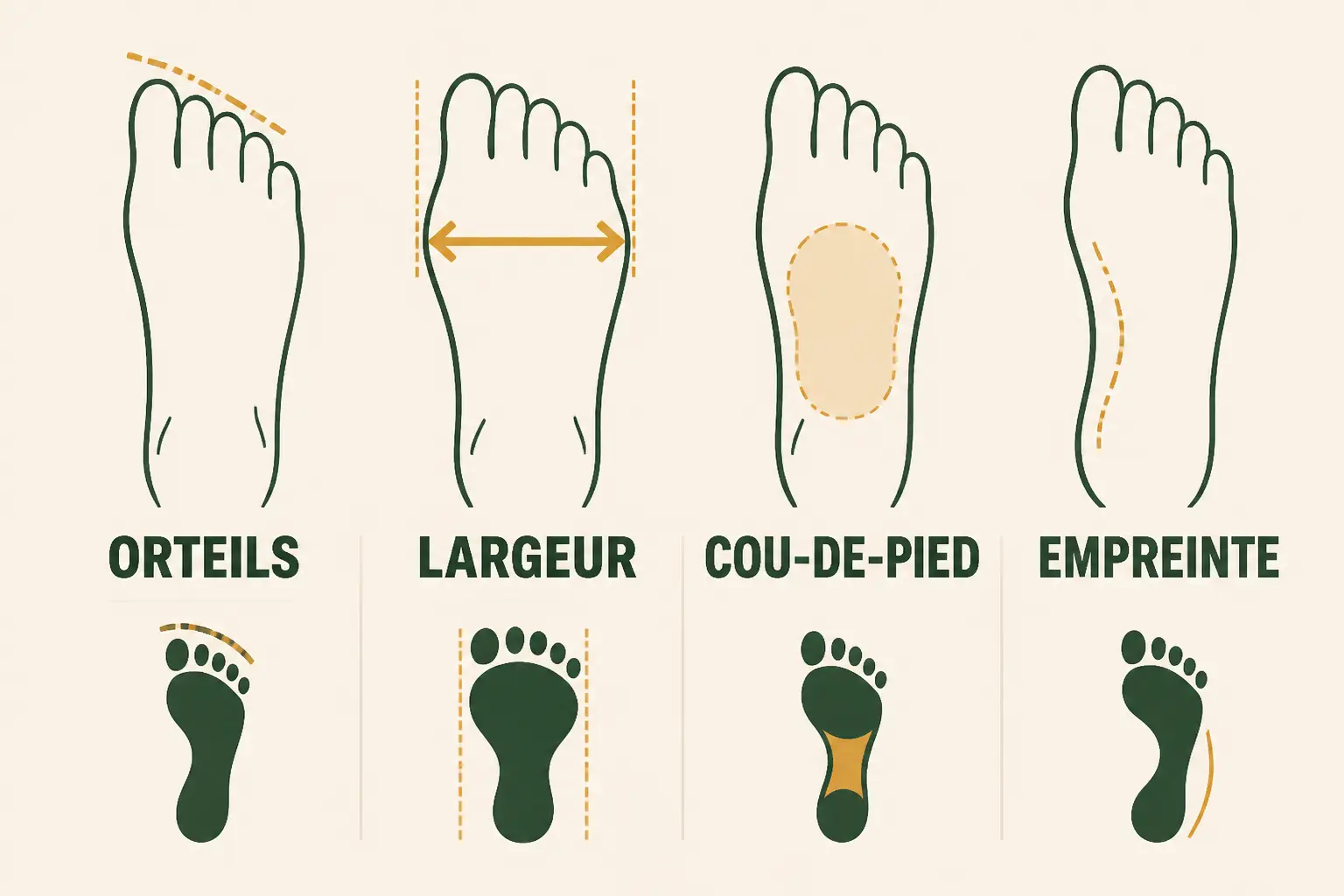 Schéma éditorial comparant la forme des pieds avec quatre silhouettes et une empreinte discrète.