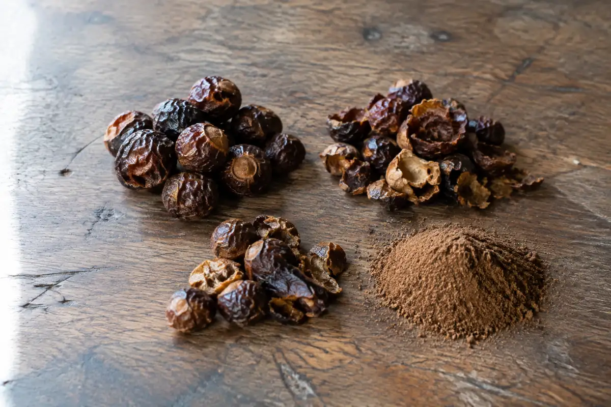 Triphala : ce que les études montrent de ses bienfaits, et ce qu'il faut vérifier avant d'en prendre
