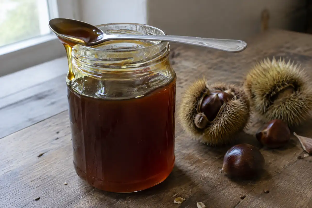 Miel de châtaignier : ce que les études montrent vraiment, et la précaution qui passe avant tout