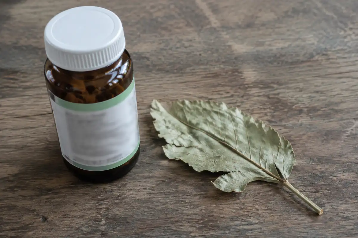 Ashwagandha : à qui l'Anses la déconseille, et ce que son avis ne permet pas d'affirmer