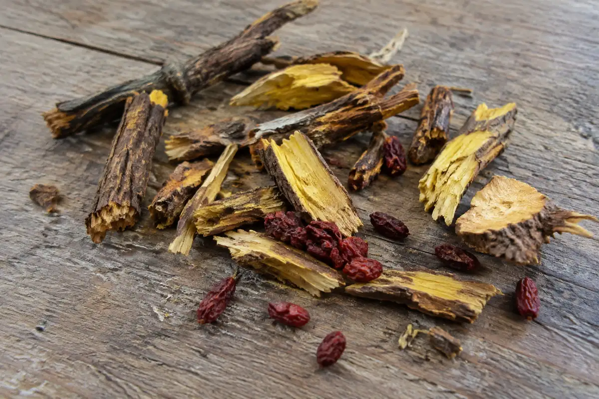 Racines et écorces d'épine-vinette séchées au bois jaune vif, quelques baies rouges, sur une table en bois